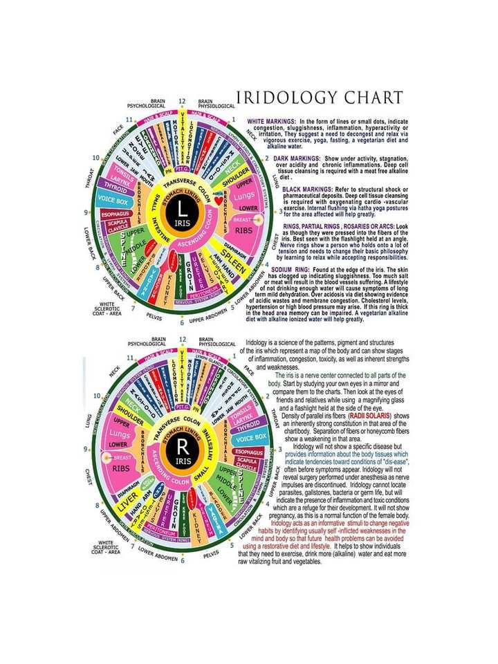 Traditional iridology chart showing the left and right iris with named body areas